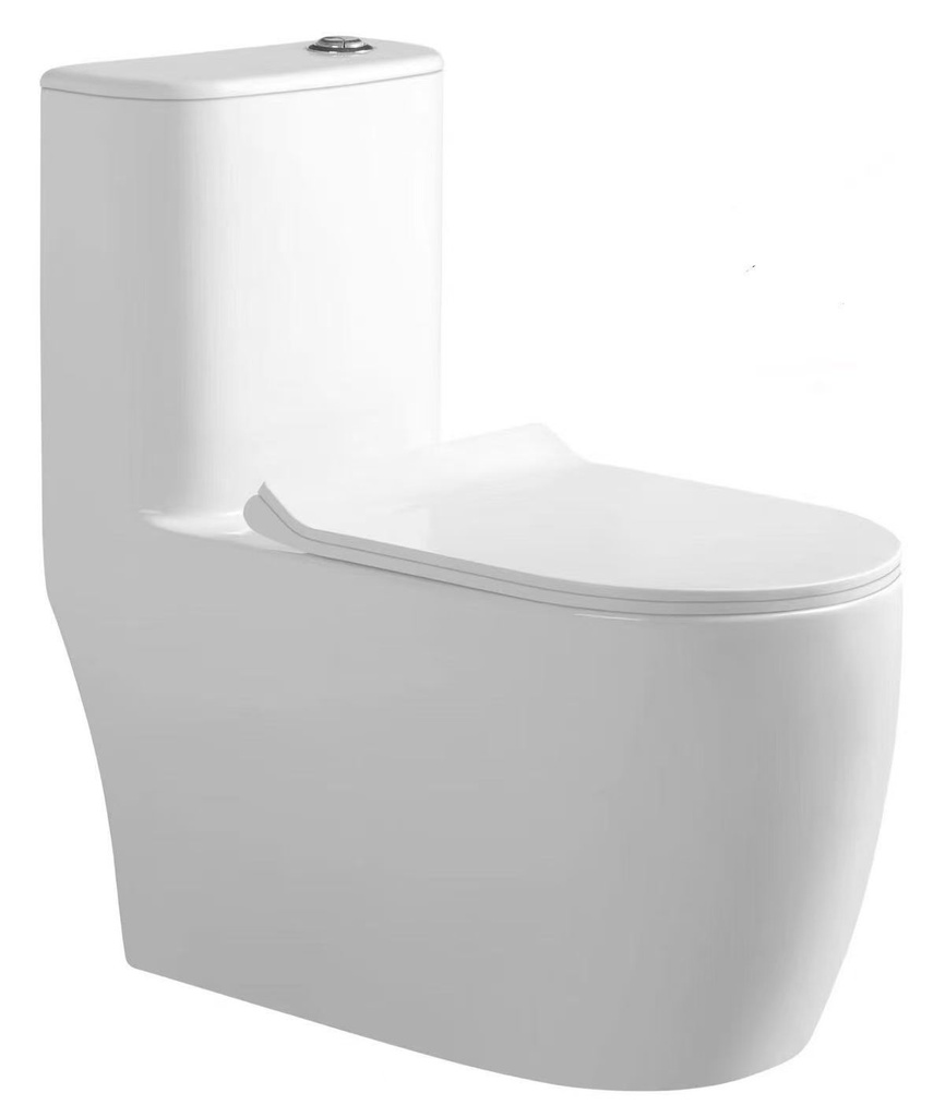 [00035] CUVETTE DE WC