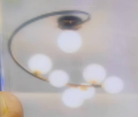 [00070] LUSTRE JTC 9168//7